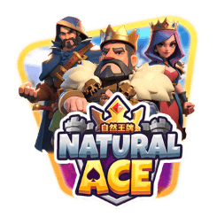 Natural Ace game thumbnail